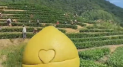 柚子小姐姐户外工地,柚子小姐姐的户外工地探险记